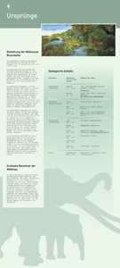 Bergbaumuseum Weckesheim, Dauerausstellung.