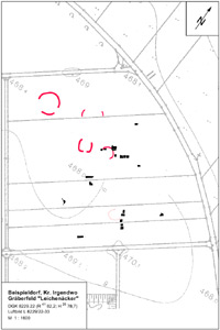 Entzerrtes Luftbild in verschiedenen Darstellungen.