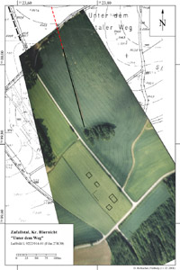 Entzerrtes Luftbild in verschiedenen Darstellungen.