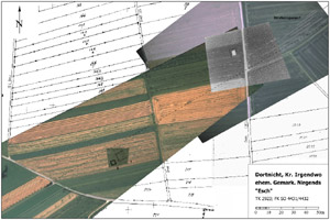 Entzerrtes Luftbild in verschiedenen Darstellungen.