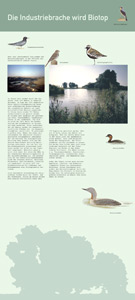 Bergbaumuseum Weckesheim, Dauerausstellung.